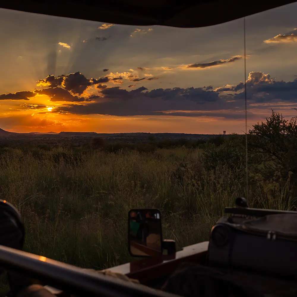 Black Rhino Reserve
