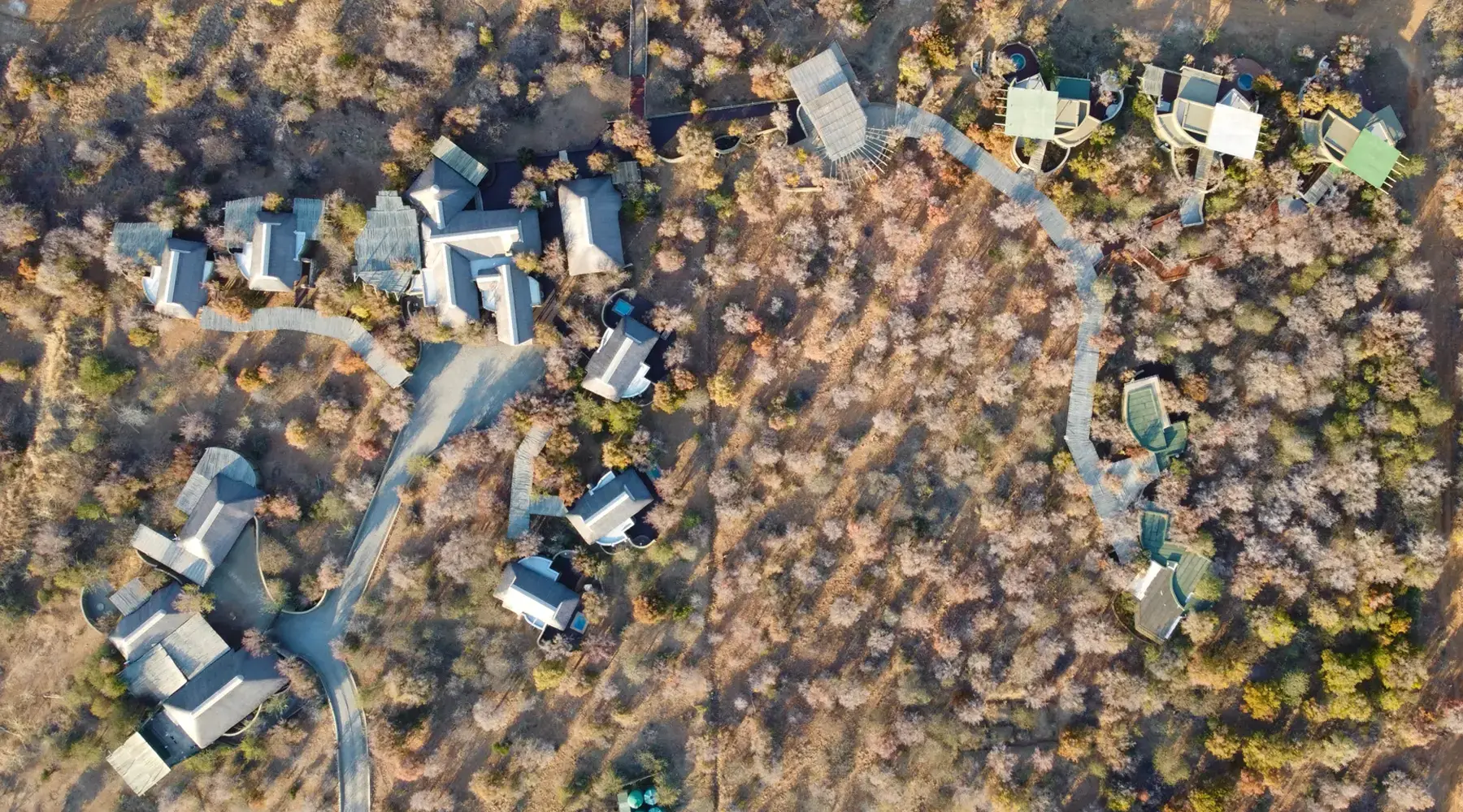 Lush aerial view